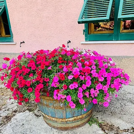 Paradiso Ghigge Apartment Cassego-Villa